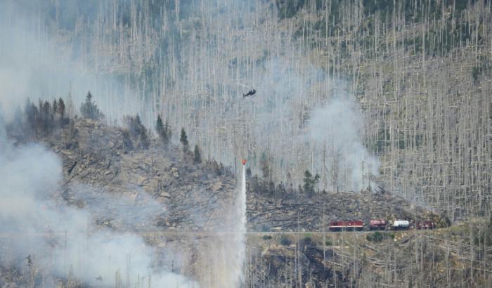 Bei fortschreitender Klimaerwärmung droht in Europa einer Studie zufolge ein drastischer Anstieg von Waldschäden. Das ermittelten Experten der Technischen Universität in München. Im schlechtesten Fall könnte sich die schadhafte Fläche verdoppeln.