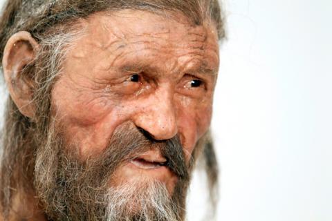 Rund 5300 Jahre nach dem Tod von Ötzi haben Wissenschaftler Hefe im Darm des Gletschermanns gefunden - und Brot daraus gebacken. Die Studie weist aber auch auf ernsthaftere Anwendungsmöglichkeiten hin.