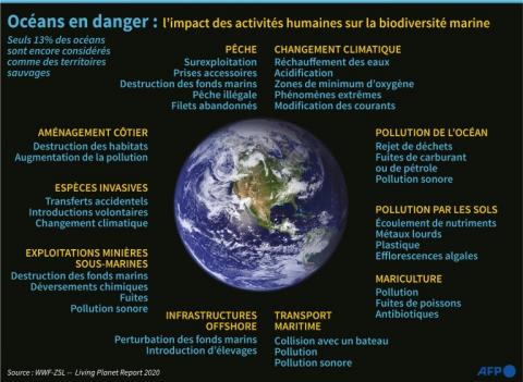 Infographie sur la dégradation environnementale des océans causée par l'activité humaine