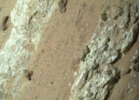 Image fournie par la Nasa le 10 septembre 2025 du rover Perseverance montrant des roches tachetés sur la surface de Mars en juillet 2024