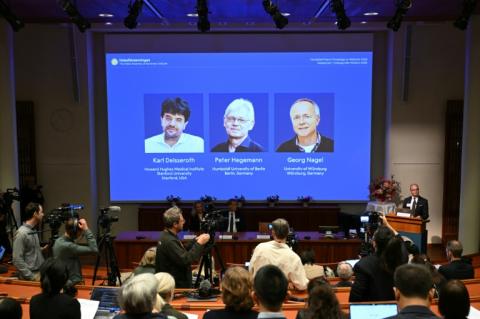Der Medizin-Nobelpreis geht dieses Jahr an zwei deutsche und einen US-Forscher. Ausgezeichnet werden ihre Entdeckungen zur Optogenetik.