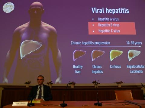 Un écran expliquant les travaux des trois lauréats du prix Nobel de médecine, le 5 octobre 2020 à Stockholm