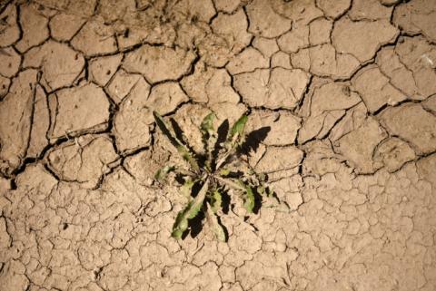 Trotz des niederschlagsreichen Jahres 2024 nimmt in Deutschland die Wasserspeicherung weiter ab. Zum Jahresende 2025 gab es ein Defizit von rund 25 Milliarden Tonnen Wasser im Vergleich zum Mittelwert seit 2002, wie Helmholtz-Forscher mitteilten.