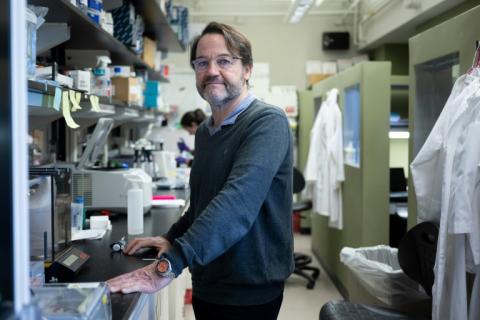 Le Dr. John Tisdale dans son laboratoire aux Instituts américains pour la santé (NIH), le 8 février 2024 à Bethesda dans le Maryland