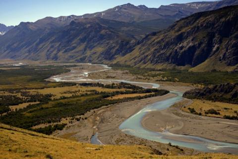 Ein deutsch-argentinisches Forscherteam hat in Patagonien einen neuen Langhalssaurier entdeckt. Der Dinosaurier namens Bicharracosaurus dionidei aus der oberen Jurazeit lebte vor rund 155 Millionen Jahren.
