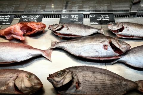 La biomasse de poissons pourrait être réduite d'un quart dans les eaux françaises d'ici à la fin du siècle sous l'effet du réchauffement climatique