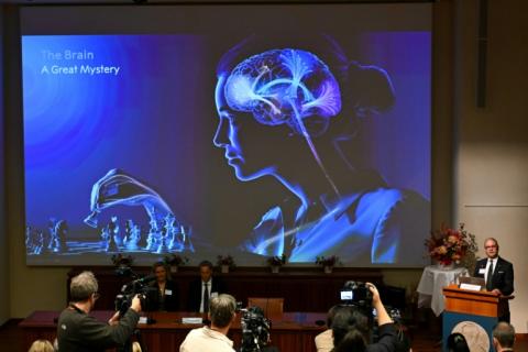 Un écran affiche une illustration du cerveau lors de l'annonce des lauréats du prix Nobel de médecine à l'Institut Karolinska de Stockholm, en Suède, le 5 octobre 2026