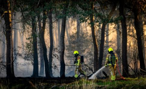 Nach einem Start ins Jahr 2026 mit extremen Wetterereignissen haben Forscher für die kommenden Monate vor "besonders heftigen" Waldbränden gewarnt.