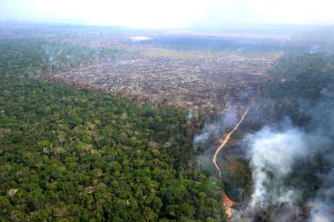 Die Abholzung des Amazonas-Regenwalds führt neusten wissenschaftlichen Erkenntnisse zufolge dazu, dass es in der Regenzeit mehr und in der Trockenzeit weniger regnet. Dadurch werden - anders als bislang angenommen - nicht nur Dürren, sondern auch Überschwemmungen begünstigt.