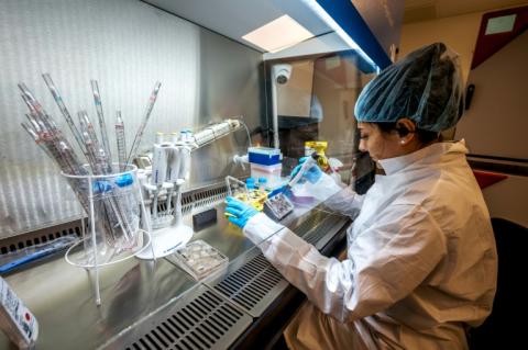 Une employée travaille dans le laboratoire de la start-up FinalSpark, le 3 octobre 2025 à Vevey, en Suisse