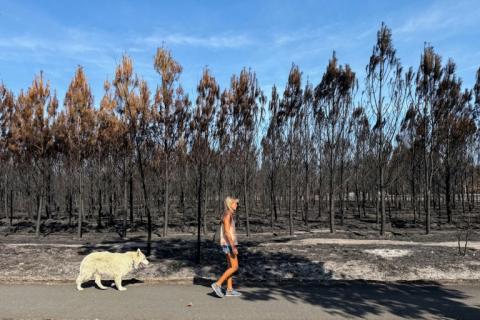 Der Juli war in Frankreich der bislang heißeste Monat seit Beginn der Temperaturaufzeichnungen vor mehr als 125 Jahren. Die Durchschnittstemperatur lag bei 24,9 Grad Celsius.