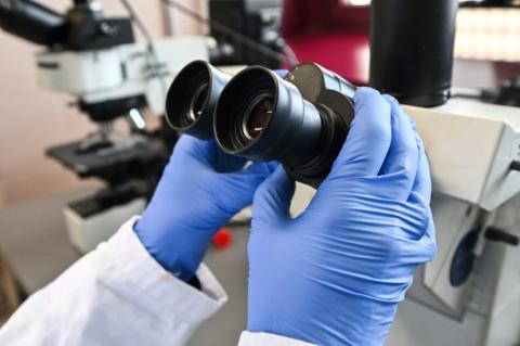Une étude révèle que l'origine des doigts est à chercher au sein du cloaque des poissons, l'organe regroupant les systèmes intestinal, excréteur et reproducteur