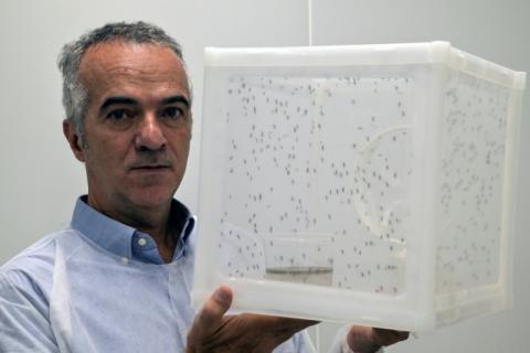 Le scientifique brésilien Luciano Moreira à Curitiba, au Brésil, le 19 mars 2026