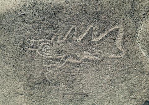 Die peruanische Regierung hat ihren umstrittenen Plan vorerst fallengelassen, das Schutzgebiet rund um die jahrtausendealten sogenannten Nazca-Linien um 40 Prozent zu verkleinern.