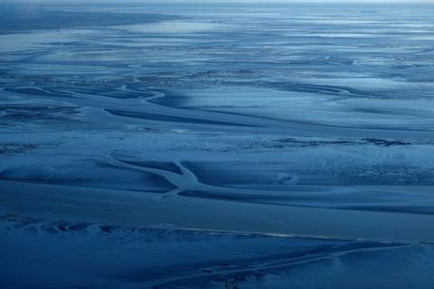 Ein Forschungsteam hat fünf neue winzige Krebsarten in der Nordsee entdeckt. Die Tierchen gehören zur Gattung Leptastacus und sind mit weniger als einem Millimeter extrem klein, wie die Senckenberg Gesellschaft für Naturforschung berichtete.