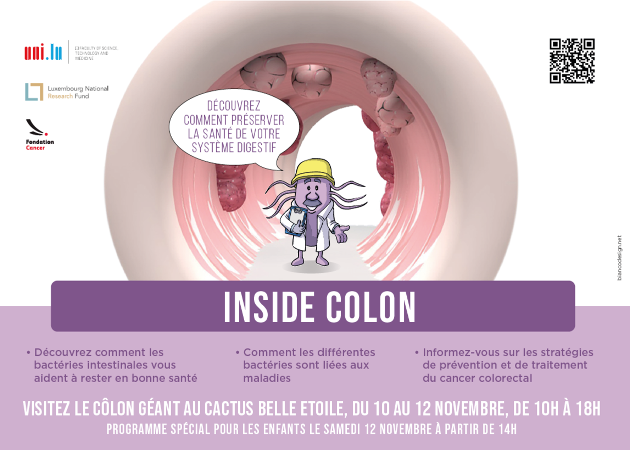 INSIDE COLON