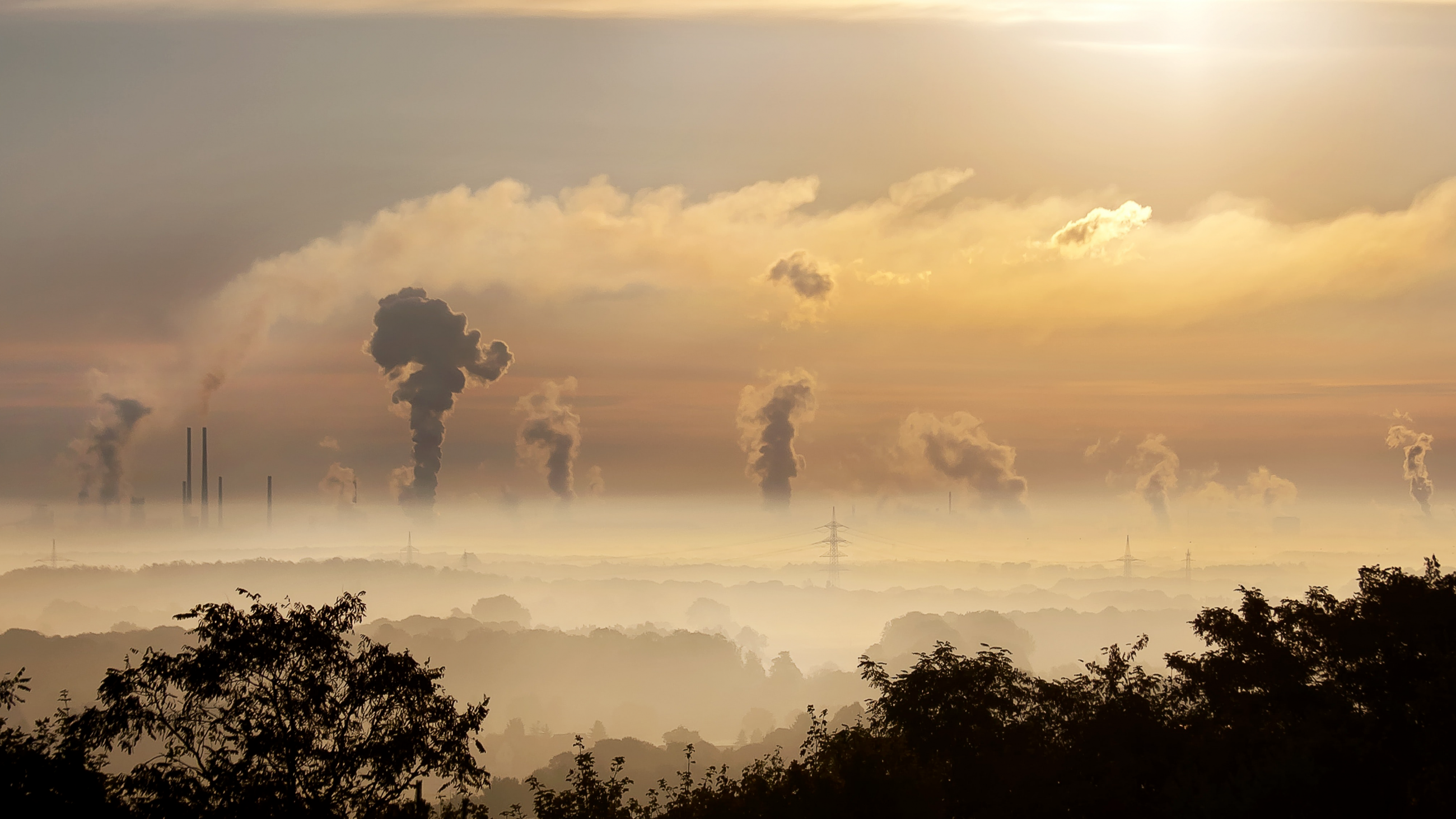 Quels sont les impacts du changement climatique et de la pollution ...