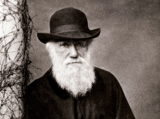 Charles Darwin et la théorie de l'évolution