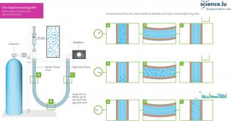 Gaschromatographie