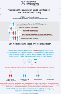 Predi-COVID Infografik