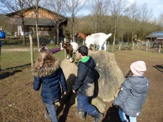 Kinder im Wald