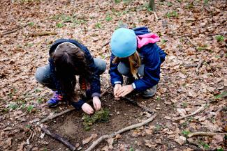 Kinder im Wald