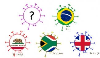 Coronavirus-Mutationen