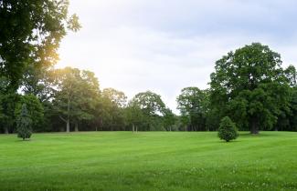 Frühling