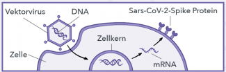 AstraZeneca Wirkweise