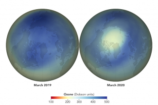 artic ozone 2019 2020