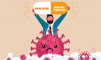 Paxlovid, Molnupiravir