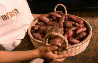 Le chef cuisinier Oscar Gonzalez tient un panier de pommes de terre ancestrales dans son restaurant de Bogota, le 19 novembre 2022 en Colombie