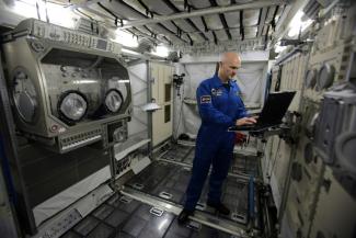 41 Experimente der bevorstehenden "Horizons"-Raumfahrtmission von Alexander Gerst stammen aus Deutschland. Der deutsche Astronaut startet am Dienstag zur Internationalen Raumstation ISS.
