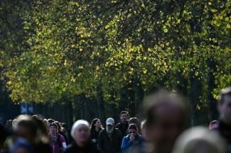 Stadtbäume können im Sommer mehr Kohlendioxid aufnehmen als Autos ausstoßen. Das fanden Forscher bei Tests in München heraus.