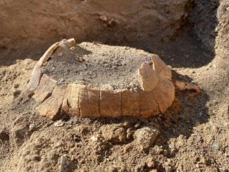 Photo non datée diffusée le 24 juin 2022 par le parc archéologique de Pompéi (Italie), montrant les restes d'une tortue découverte dans les ruines