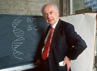 James Watson, prix Nobel de Médecine pour avoir découvert la structure moléculaire de l'ADN, photographié à Paris le 23 avril 1993