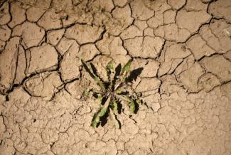 Trotz des niederschlagsreichen Jahres 2024 nimmt in Deutschland die Wasserspeicherung weiter ab. Zum Jahresende 2025 gab es ein Defizit von rund 25 Milliarden Tonnen Wasser im Vergleich zum Mittelwert seit 2002, wie Helmholtz-Forscher mitteilten.