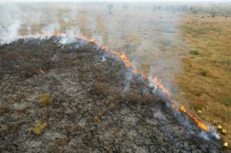 "Alarmstufe rot": Angesichts des fortschreitenden Klimawandels hat die Zerstörung tropischer Urwälder laut einer Studie im vergangenen Jahr den höchsten Stand seit mehr als zwei Jahrzehnten erreicht.