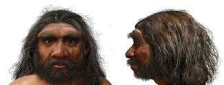 Ein digitale Rekonstruktion eines eine Million Jahre alten Schädels könnte das bisherige Wissen über die menschliche Evolution auf den Kopf stellen: Die Rekonstruktion des 1990 in China entdeckten zertrümmerten Schädels deutet laut einer am Freitag in der Zeitschrift "Science" veröffentlichten Studie darauf hin, dass sich der Homo sapiens möglicherweise 400.000 Jahre früher als bisher angenommen von anderen menschlichen Vorfahren abgespaltet hat.
