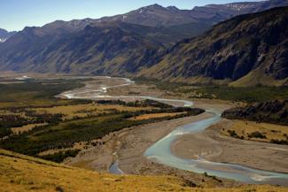 Ein deutsch-argentinisches Forscherteam hat in Patagonien einen neuen Langhalssaurier entdeckt. Der Dinosaurier namens Bicharracosaurus dionidei aus der oberen Jurazeit lebte vor rund 155 Millionen Jahren.