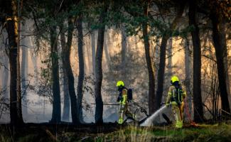 Nach einem Start ins Jahr 2026 mit extremen Wetterereignissen haben Forscher für die kommenden Monate vor "besonders heftigen" Waldbränden gewarnt.