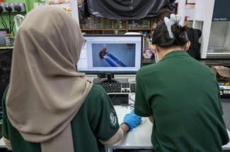 Des chercheurs observent des punaises de lit dans un laboratoire de l'Université des sciences de Malaisie (USM) à George Town, sur l'île de Penang, le 8 octobre 2025