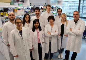 Molecular Disease Mechanisms-Team, University of Luxembourg