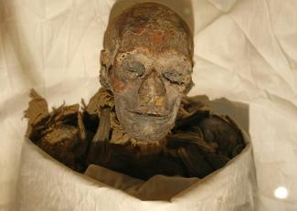 Les restes momifiés de la reine égyptienne Hatchepsout exposés dans une vitrine après avoir été dévoilés au Musée du Caire, le 27 juin 2007