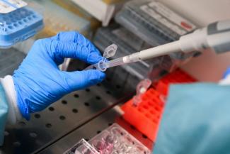 Un chercheur dilue de l'ARN messager au laboratoire Inserm ART-RNAm à Orléans, le 18 novembre 2025