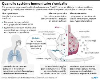 Graphique sur les chocs cytokinikes, réponses excessives du système immunitaire, qui pourraient être la cause de complications dans les cas les plus sévères de Covid-19