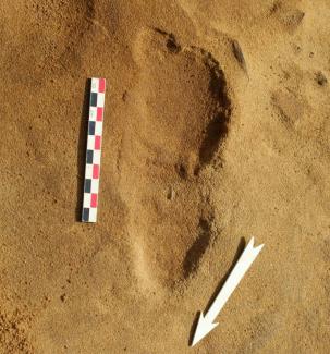Une trace de pas d'un Néandertalien sur le site du Rozel, en France