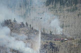 Bei fortschreitender Klimaerwärmung droht in Europa einer Studie zufolge ein drastischer Anstieg von Waldschäden. Das ermittelten Experten der Technischen Universität in München. Im schlechtesten Fall könnte sich die schadhafte Fläche verdoppeln.