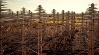 Vue artistique, diffusée le 5 décembre 2022 par le ministère australien de la Science, d'un réseau d'antennes du radiotélescope géant SKA qui sera construit en Australie
