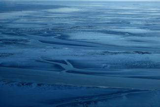 Ein Forschungsteam hat fünf neue winzige Krebsarten in der Nordsee entdeckt. Die Tierchen gehören zur Gattung Leptastacus und sind mit weniger als einem Millimeter extrem klein, wie die Senckenberg Gesellschaft für Naturforschung berichtete.